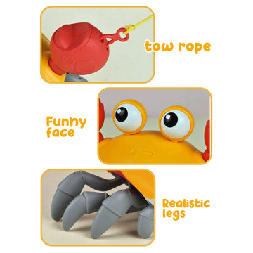 Children's Clockwork Crab Octopus Toys
